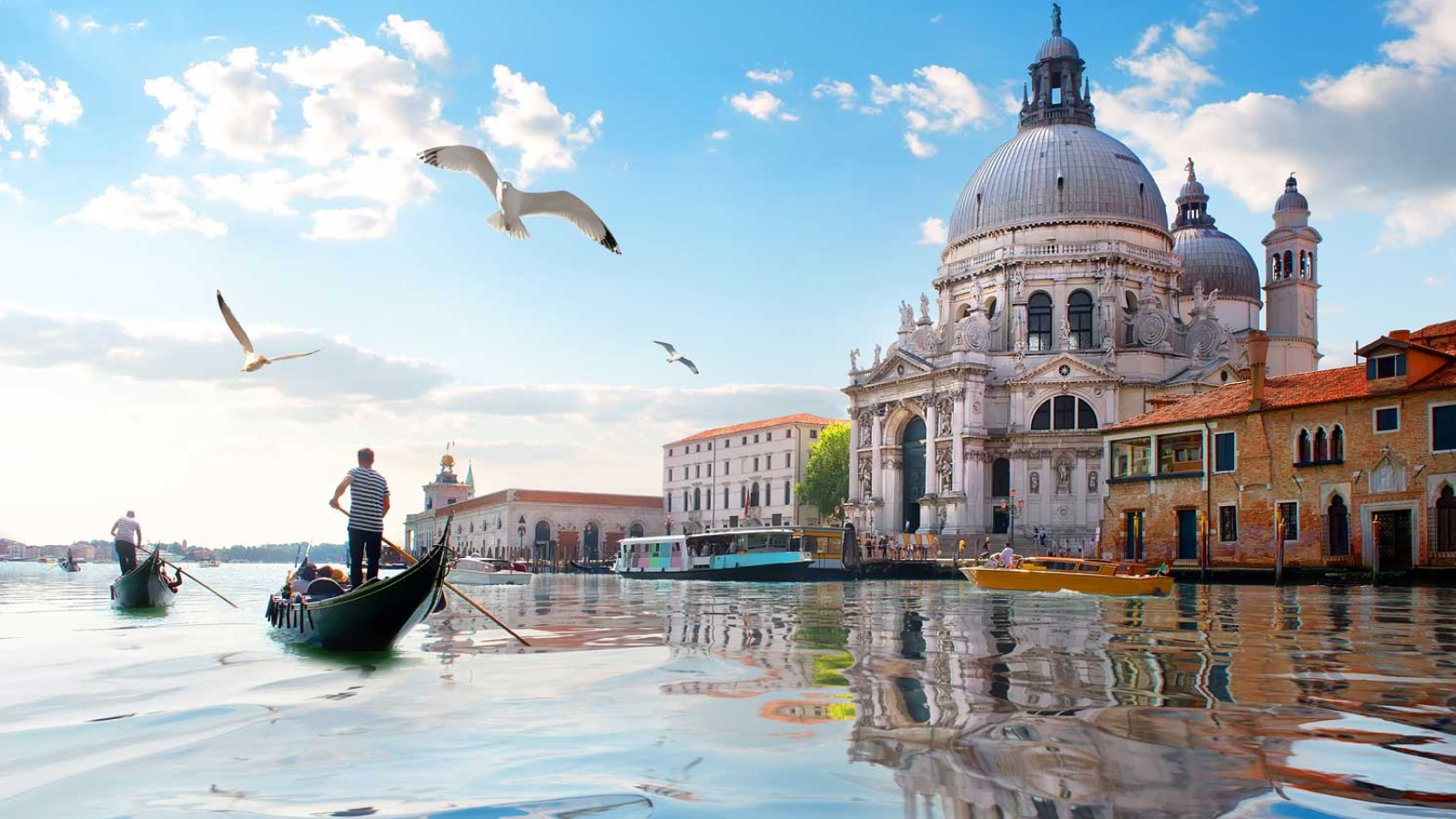 1600X900_venezia_san_marco_gabbiano